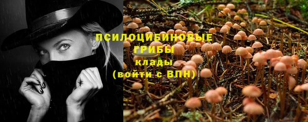 эйфоретик Александровское