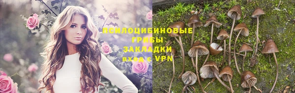 эйфоретик Александровское