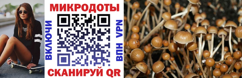 Псилоцибиновые грибы Psilocybe  купить наркоту  Первоуральск 